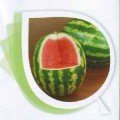 Вересковый мед F1 семена арбуза типа крим.св. среднеран. 9-11 кг (Vinel Seeds)