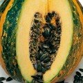 Южная голосеменная семена тыквы (Гелиос)
