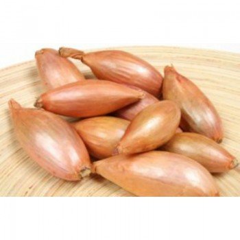 Запорожские семена лука на перо (GL Seeds) Запорожские семена лука на перо (GL Seeds)