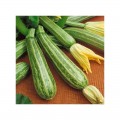 Зебра семян цуккини (Satimex)