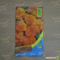 Бархатцы раскидистые низкие оранжевые (Orange) семена (Moravoseed)