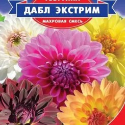 Дабл Экстрим семян георгины (GL Seeds)