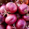 Дивина Стар F1 семена лука репчатого озимого (Cora Seeds)