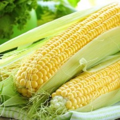 Голден Кроун F1 насіння кукурудзи солодкої (Dorsing Seeds)