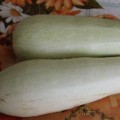 Горный семена кабачка