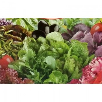 Итальянский вкус семян салата (GL Seeds) Итальянский вкус семян салата (GL Seeds)