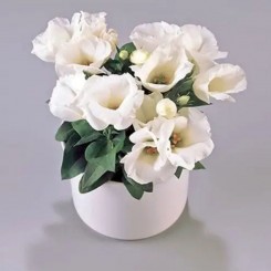 Кармен F1 айвори (ivory) семян эустомы махровой (Takii Seeds)