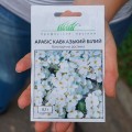 Кавказский белый (white) семена арабиса (Hem Zaden)