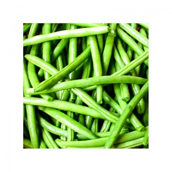 Колибри семян фасоли спаржевой (GL Seeds)
