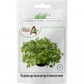 Кориандр комнатный семена кориандра (кинзы) (Wing Seed)