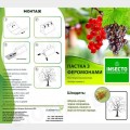Листовийка розановая феромонная ловушка (БИОхимтех)