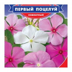 Первый поцелуй семян барвинка (GL Seeds)