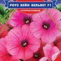 Вельвет Роуз Уэйн F1 семена сурфинфи (GL Seeds)