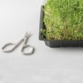 Пикантный (5 урожаев) набор семян микрозеленых (Agrocity)