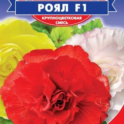 Роял F1 смесь (mix) семян бегонии (GL Seeds)