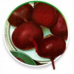 Селянська насіння буряка столового (GL Seeds)