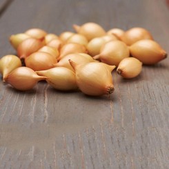 Сеншуй (10-21 мм) насіння цибулі ріпчастої озимої (TOP Onion Sets)