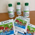 Фунгицид Свитч – Syngenta
