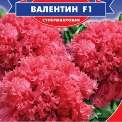 Валентин F1 семена петунии (GL Seeds)