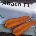 Абако F1 (Abaco F1) (1,4-1,6) семена моркови (Seminis)