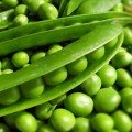 Алоха насіння гороху (Hazera)
