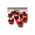 Черри красный семена горького перца (Hortus)