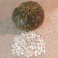 Данка Чайна (тип Данка Полька) насіння гарбуза для насіння середнього 2,5-3 кг окр.-припл. (Імперія Насіння)