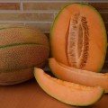 ЄС 25156 F1 (ES 25156 F1) насіння дині (Ergon seeds)