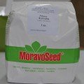 Фараон насіння редису (Moravoseed)
