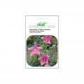 Гавайи розовый (pink) и семена платикодона (Hem Zaden)