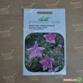 Гавайи розовый (pink) и семена платикодона (Hem Zaden)