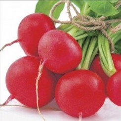 Гигант семян редиса (Wing Seed)