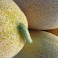 Дайана F1 (Даяна, INX 1097 F1) семена дыни (Innova Seeds)
