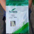 Искандер F1 семена кабачка (Seminis)