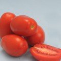Кинг F1 семена помидора детерминантного (Lucky Seed)
