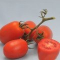Кинг F1 семена помидора детерминантного (Lucky Seed)