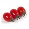 КС 3640 (KS 3640) F1 семена помидора черри детерминантного (Kitano Seeds)