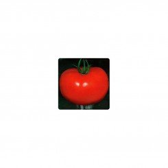 Лонгф F1 семена помидора детерминантного (Семко)