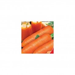 Любима насіння моркви (GL Seeds)