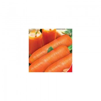 Любимые семена моркови (GL Seeds)