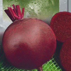 Мармелад семян свеклы столовой (Seedera)