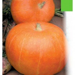 Миндальные семена тыквы (GL Seeds)
