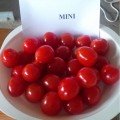 Мини F1 семена помидора черри индетерминантного (Semo)