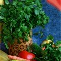Нектар семян кинзы (кориандра) (Гелиос)