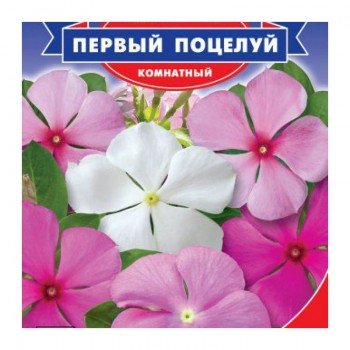 Первый поцелуй семян барвинка (GL Seeds)