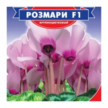 Розмарі F1 насіння цикламена (GL Seeds)