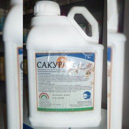 Фунгіцид Сакура - Саміт Агро Юкрейн