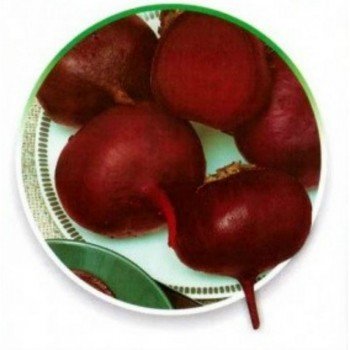 Селянские семена свеклы столовой (GL Seeds)