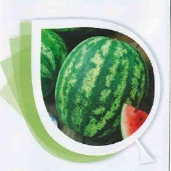 Солодкий діамант насіння кавуна Крим.св. раннього 65-75 дн., 8-12 кг (Vinel Seeds)