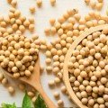 Соя семена микрозеленые (Agrocity)